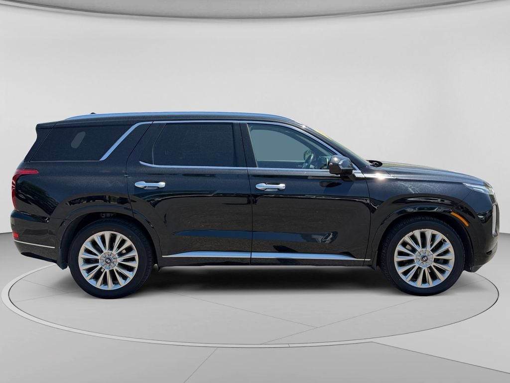 2020 Hyundai Palisade — side profile view