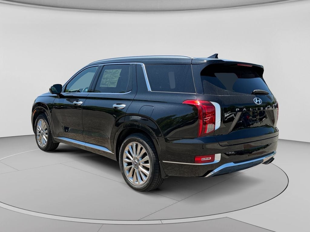 2020 Hyundai Palisade — detail view